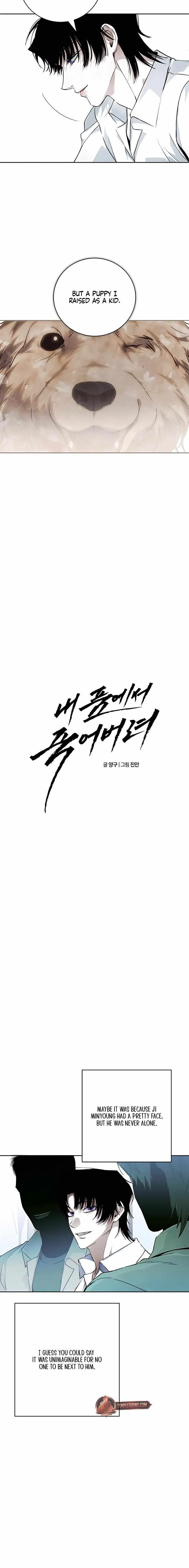 Read Die In My Arms chapter 22 image 5 on Lezhin