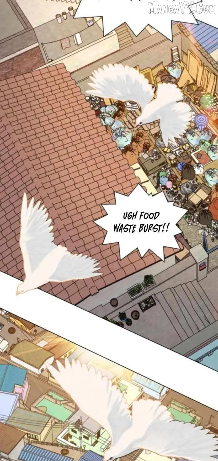 Read Diet Warrior chapter 16 image 50 on Lezhin