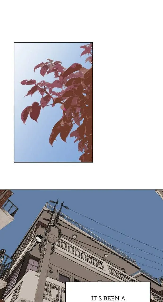 Read Dignity Proof chapter 3.6 image 0 on Lezhin