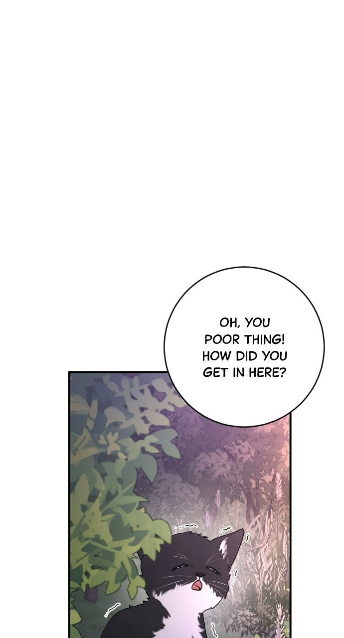 Read Dirty Deeds chapter 11 image 49 on Lezhin