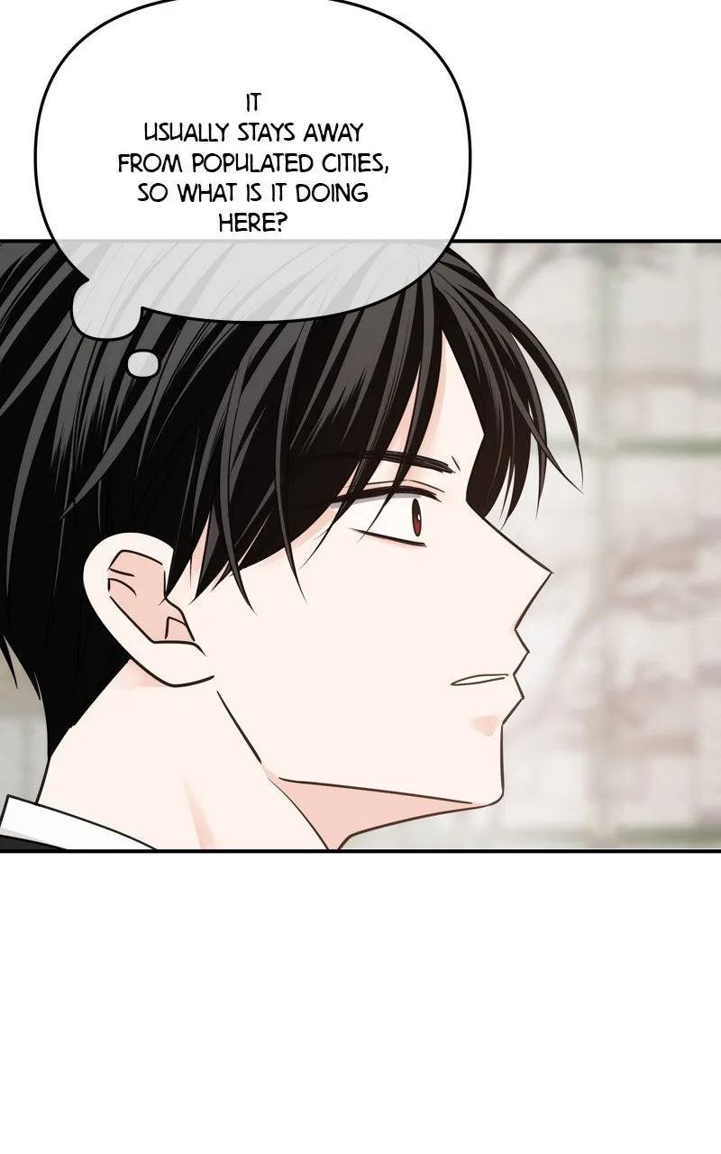 Read Disaster is Always By My Side chapter 65 image 3 on Lezhin