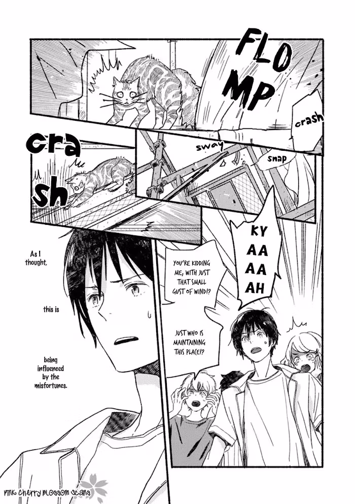 Disasters Like Me Too Much Chapter 55 page 6 - 