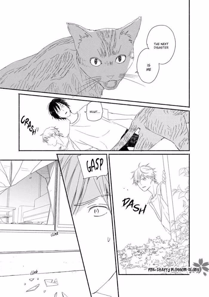 Disasters Like Me Too Much Chapter 58 page 12 - 