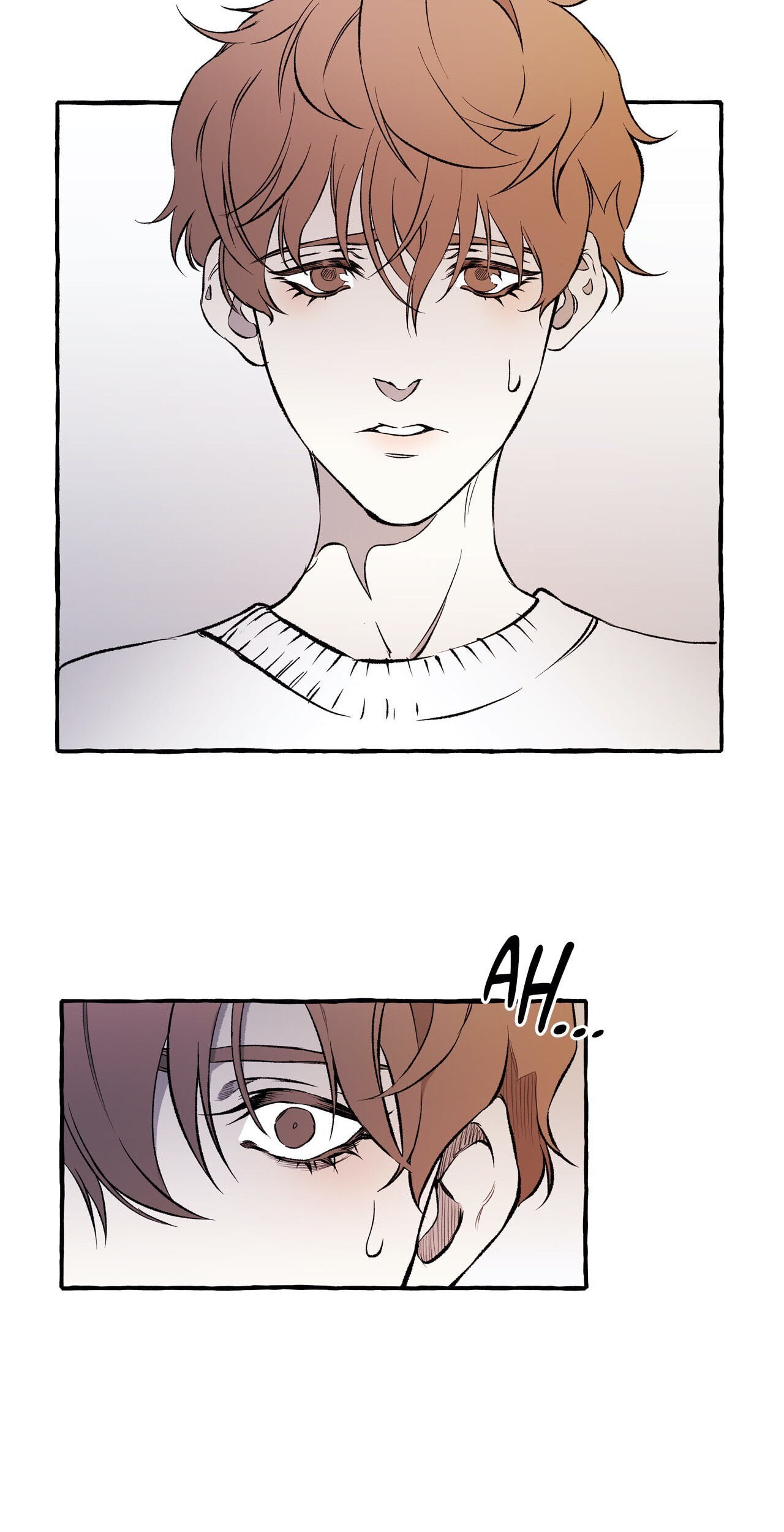 DISPAR Chapter 13 page 23 - 