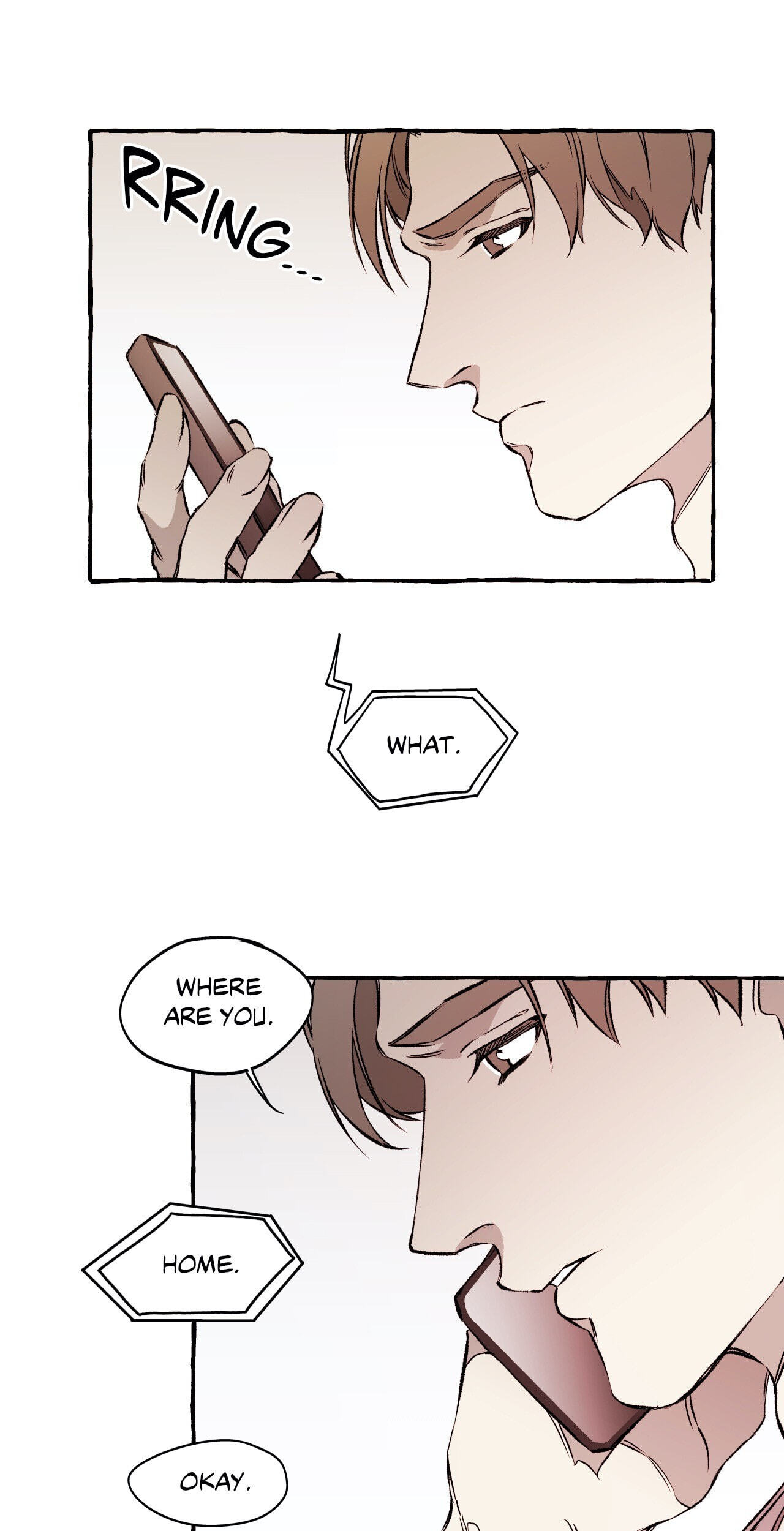 DISPAR Chapter 16 page 35 - 