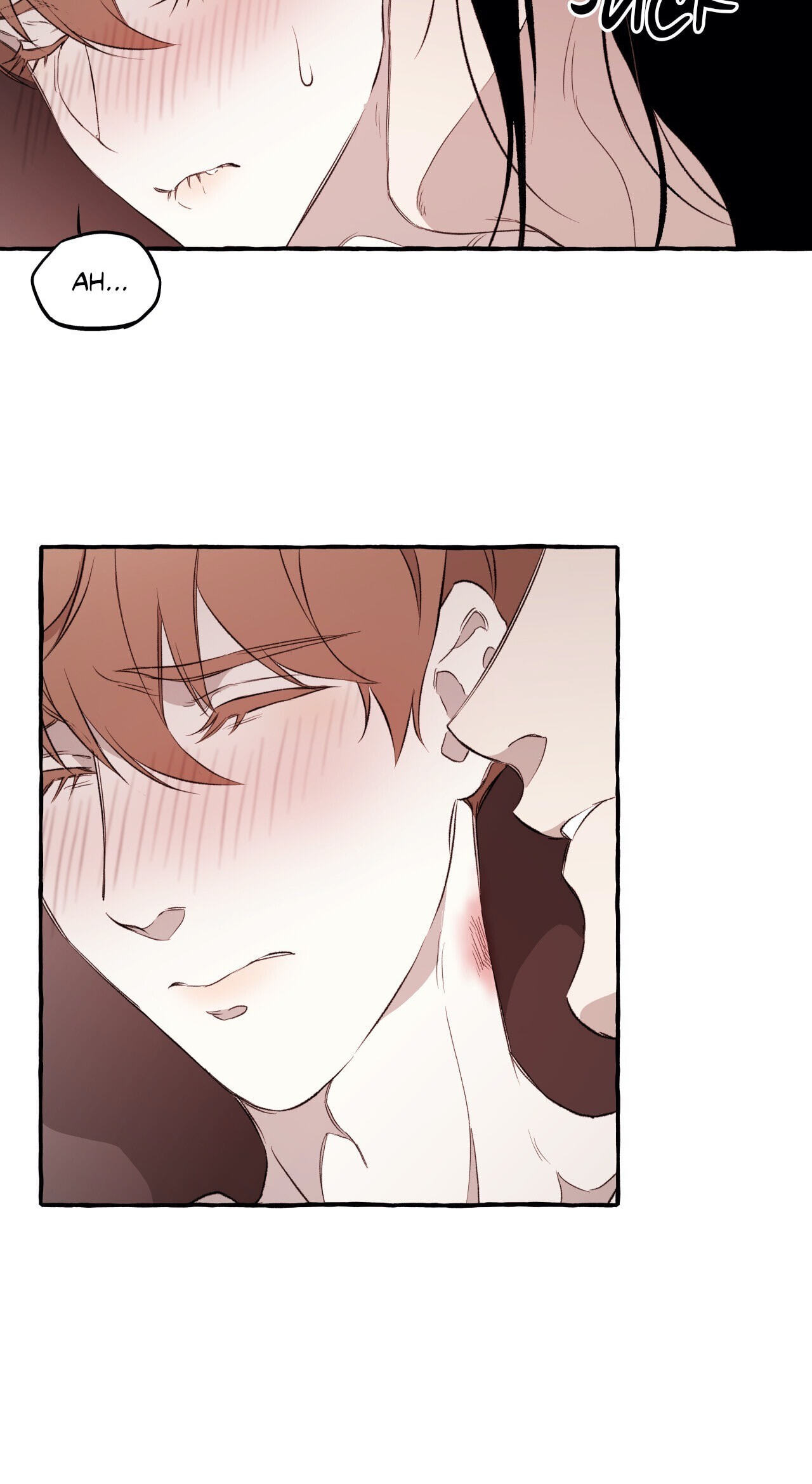 DISPAR Chapter 8 page 39 - 