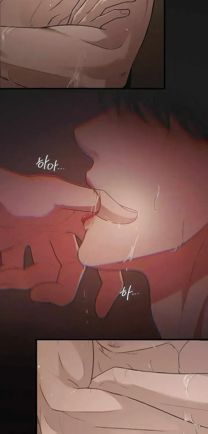 Read Dissolve: His Last Choice chapter 1.6 image 6 on Lezhin