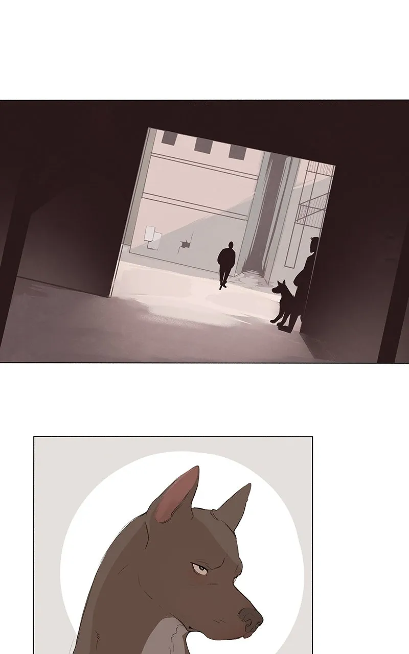 Read Distress chapter 13 image 42 on Lezhin