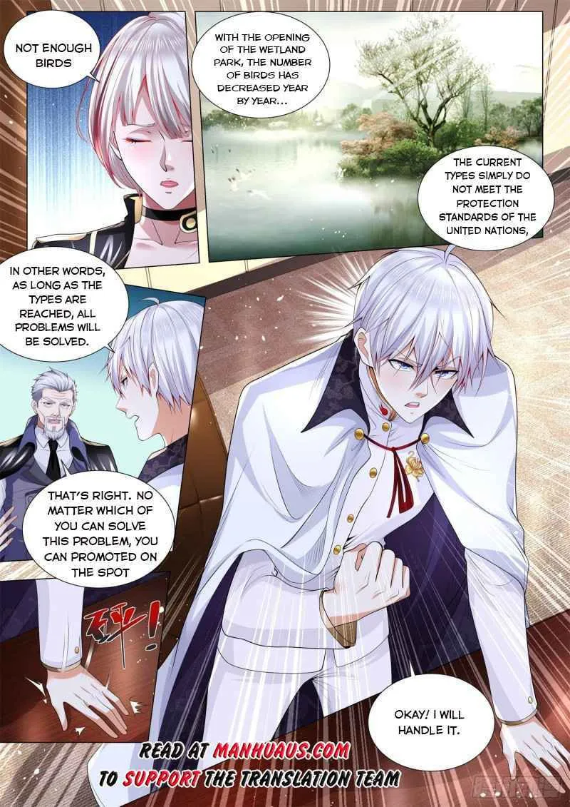 Divine Hero's Skyfall system Chapter 291 page 13 - 