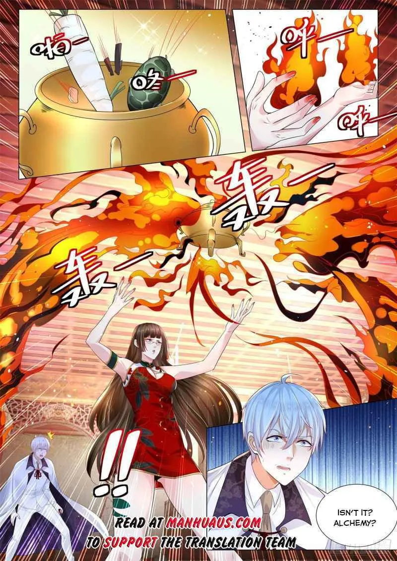 Divine Hero's Skyfall system Chapter 315 page 13 - 