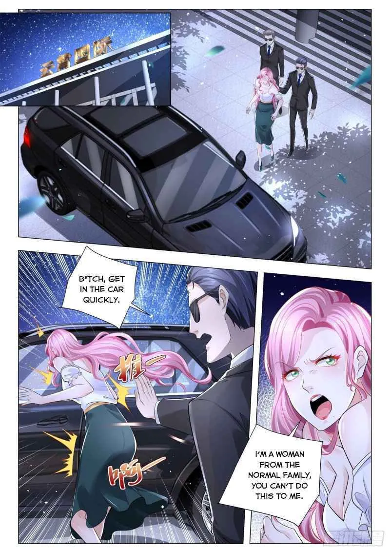 Divine Hero's Skyfall system Chapter 317 page 8 - 