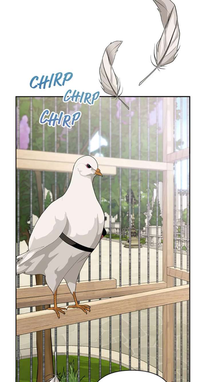 Divorce is the Condition Chapter 70 page 78 - 