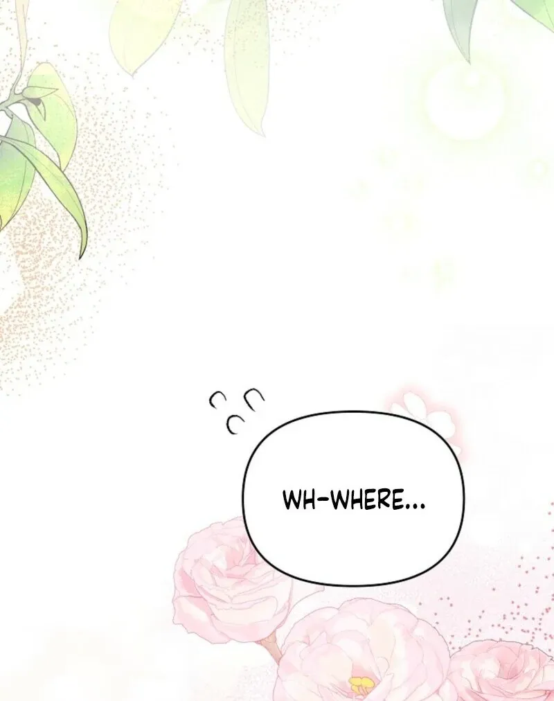 Read Divorce Strategy chapter 65 image 74 on Lezhin