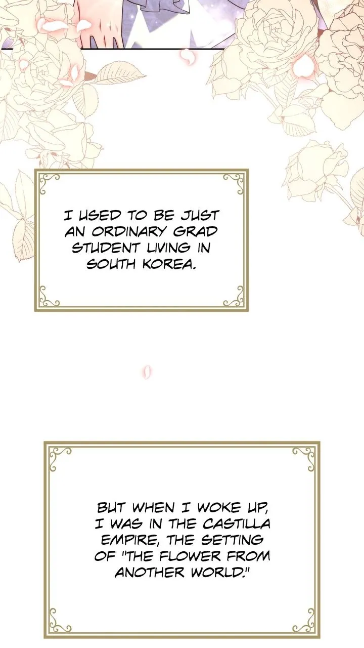 Divorcing MyTyrant Husband Chapter 1 page 61 - 