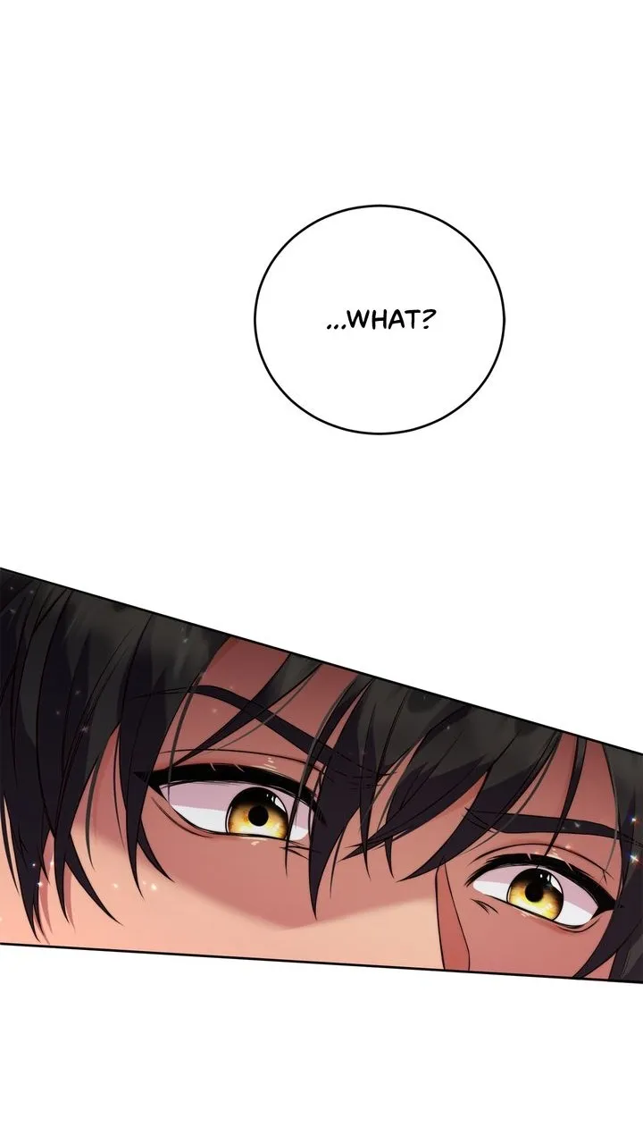Divorcing MyTyrant Husband Chapter 3 page 87 - 