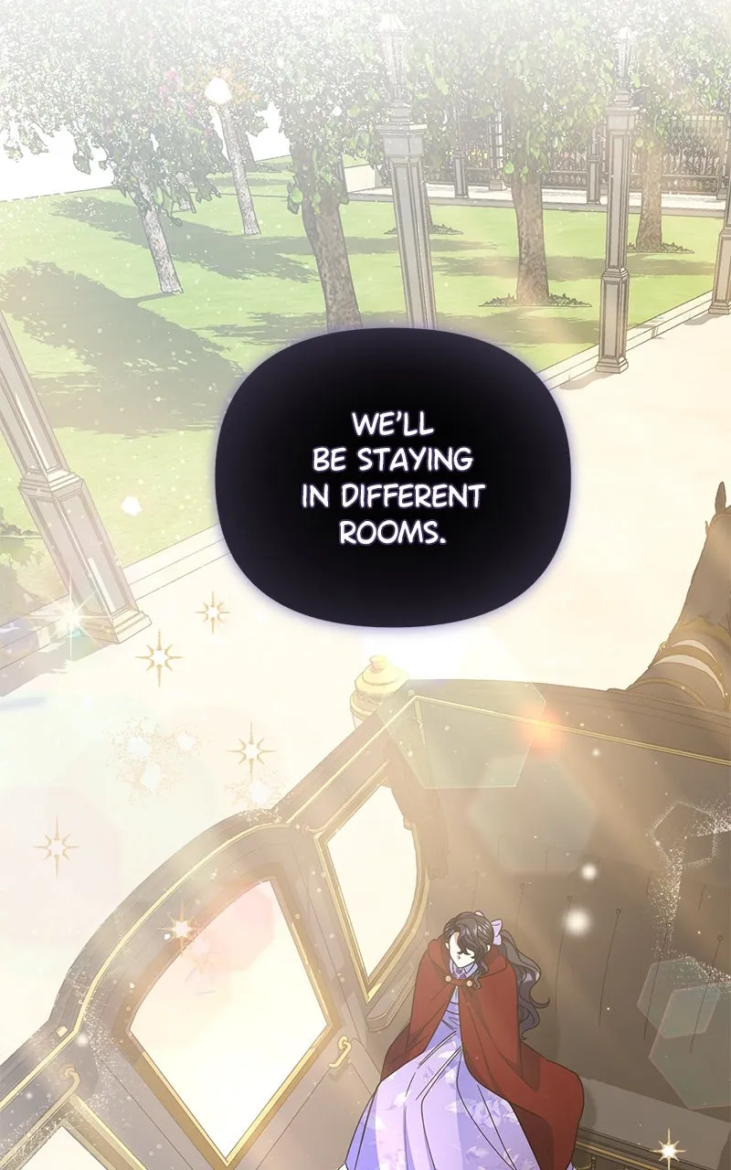 Do Not Hold on to the Broken Branch Chapter 12 page 5 - 