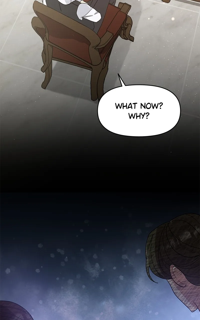 Do Not Hold on to the Broken Branch Chapter 13 page 41 - 