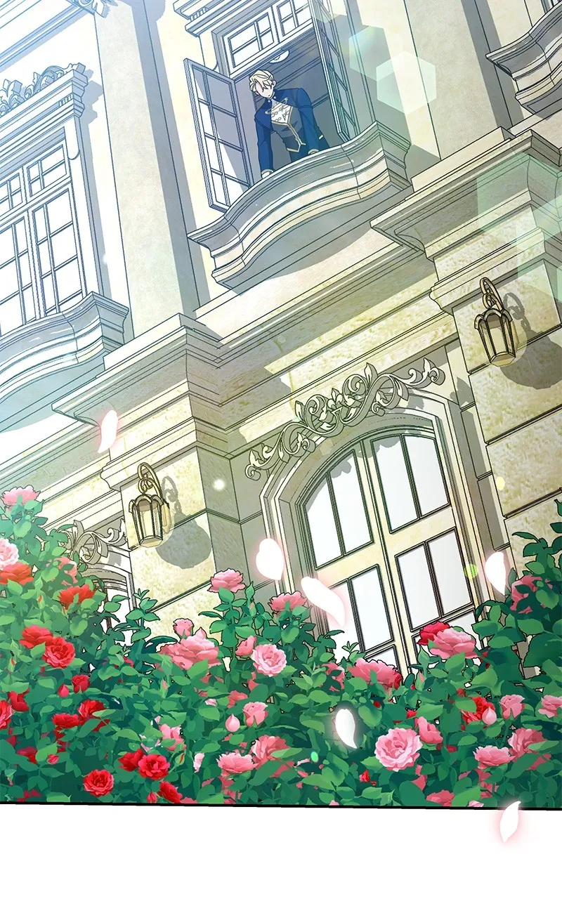 Do Not Hold on to the Broken Branch Chapter 17 page 65 - 