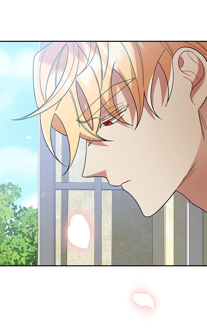 Do Not Hold on to the Broken Branch Chapter 17 page 66 - 