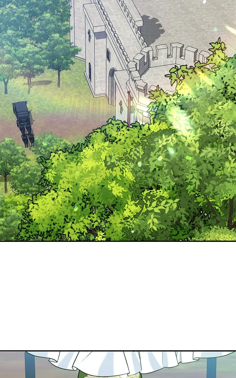 Do Not Hold on to the Broken Branch Chapter 17 page 84 - 