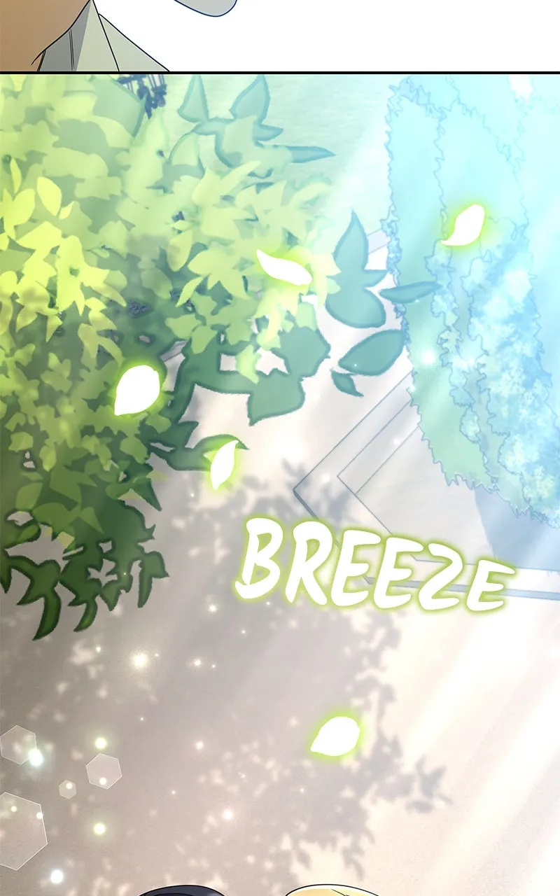 Do Not Hold on to the Broken Branch Chapter 19 page 13 - 