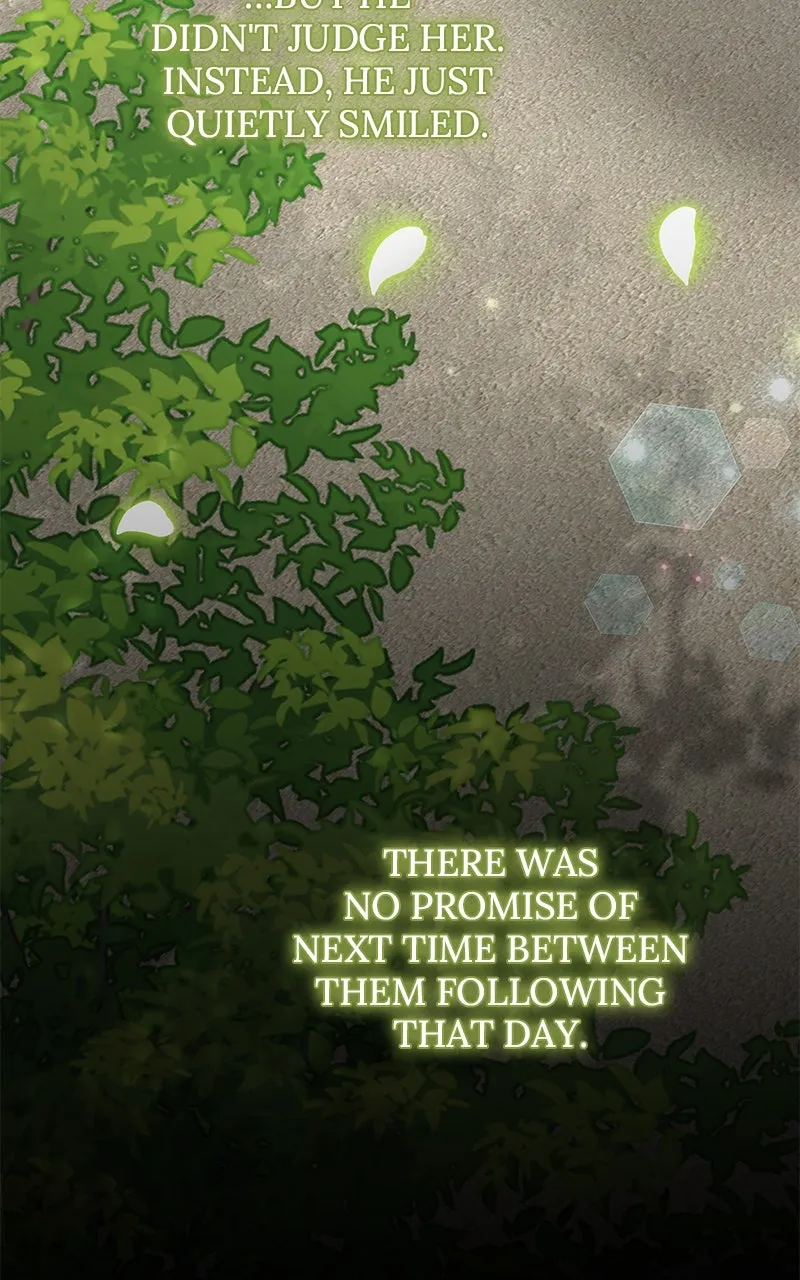 Do Not Hold on to the Broken Branch Chapter 19 page 15 - 