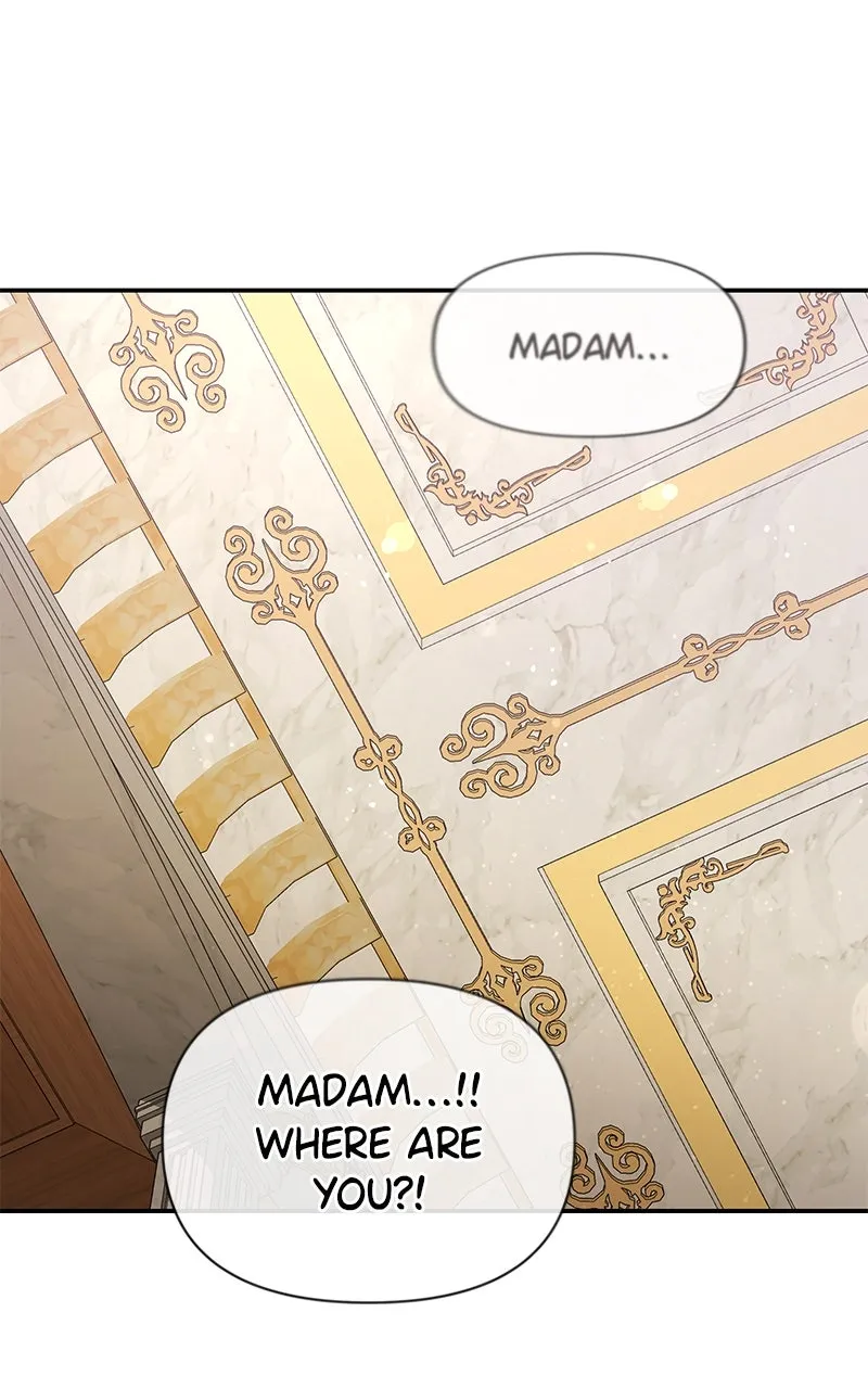 Do Not Hold on to the Broken Branch Chapter 19 page 41 - 