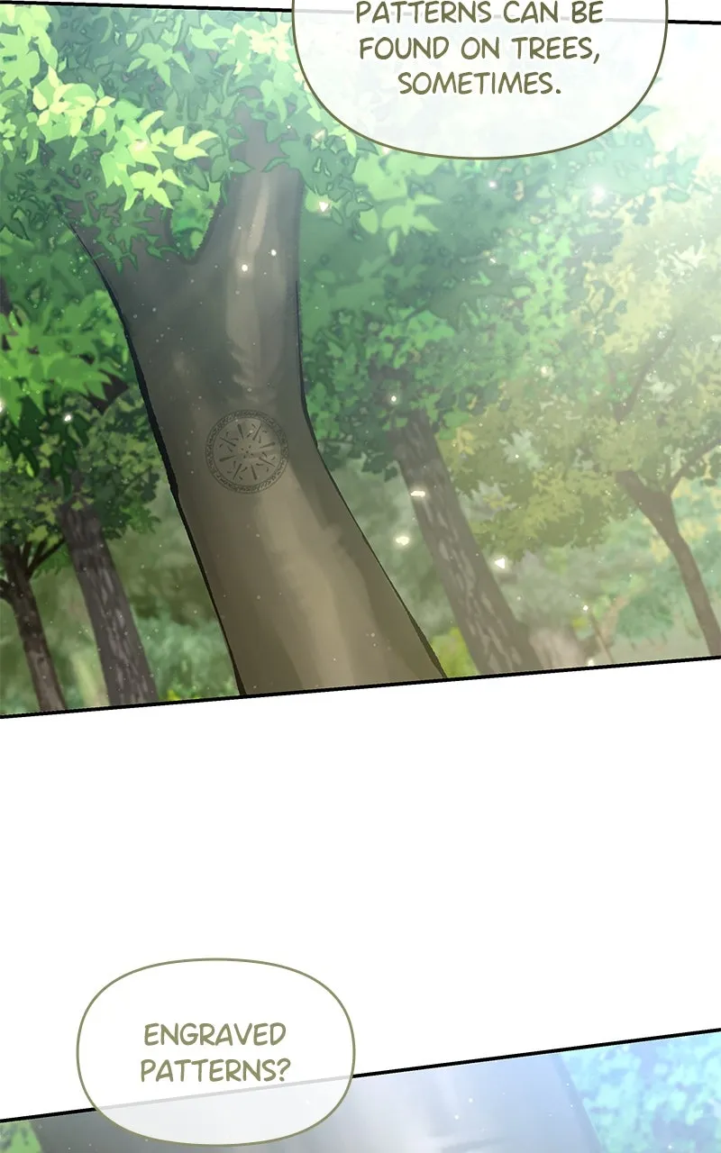 Do Not Hold on to the Broken Branch Chapter 21 page 60 - 