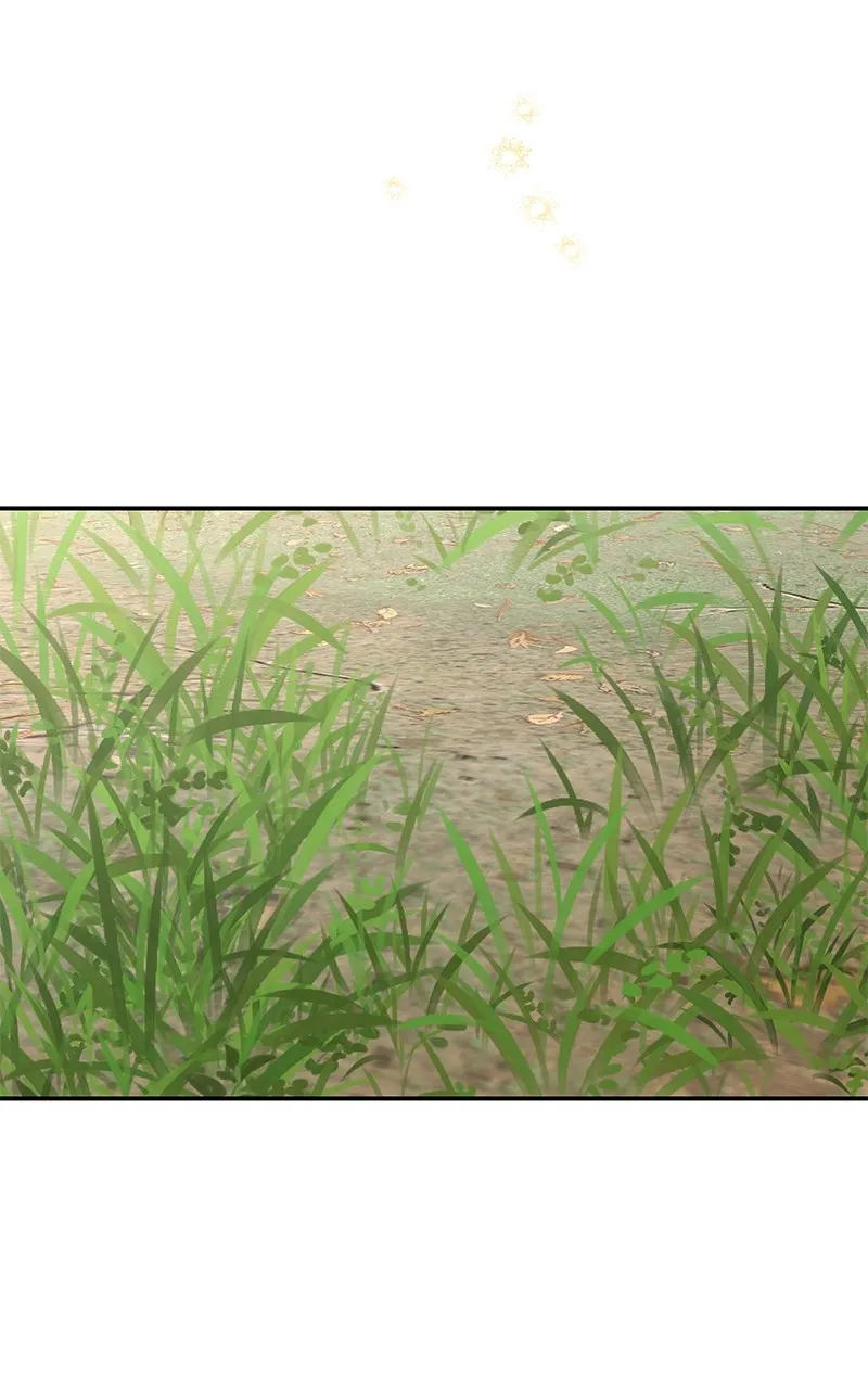 Do Not Hold on to the Broken Branch Chapter 21 page 68 - 