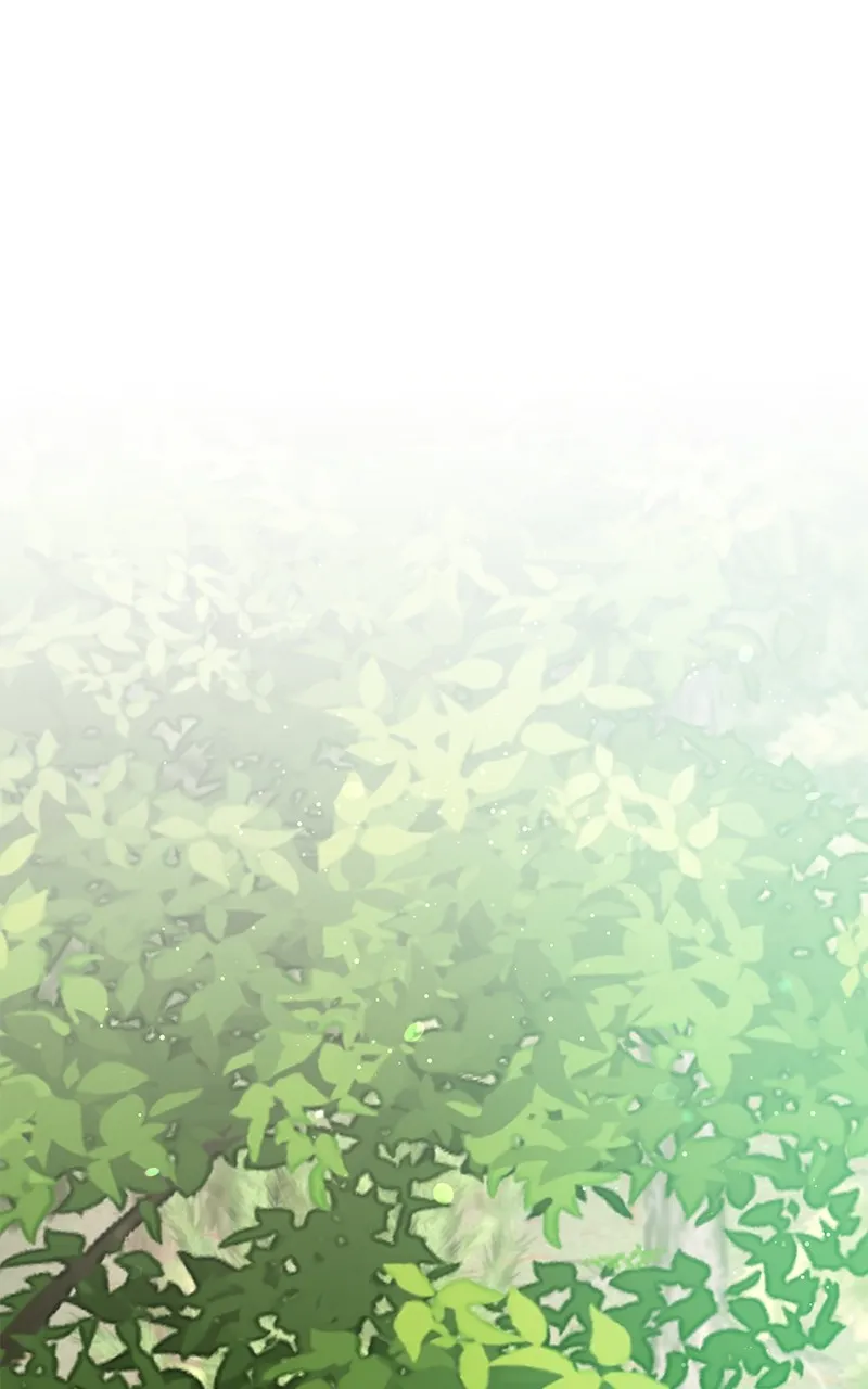 Do Not Hold on to the Broken Branch Chapter 22 page 29 - 