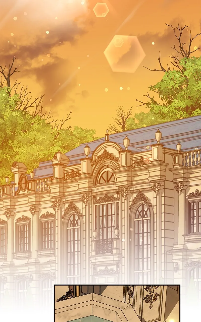 Do Not Hold on to the Broken Branch Chapter 24 page 5 - 