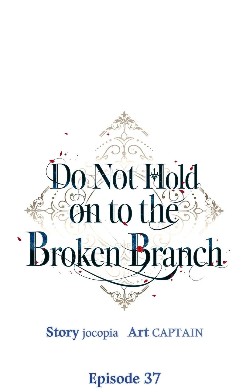 Do Not Hold on to the Broken Branch Chapter 37 page 13 - 