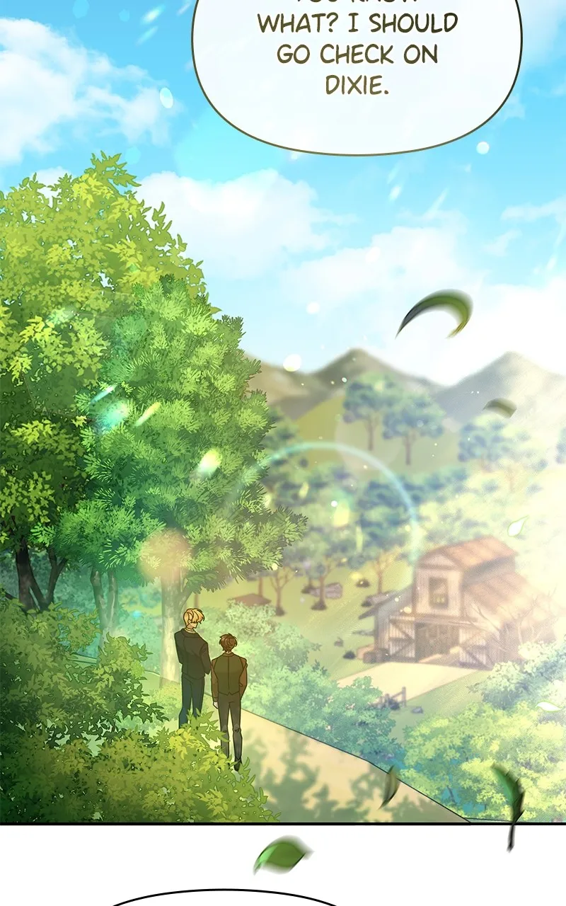 Do Not Hold on to the Broken Branch Chapter 37 page 15 - 