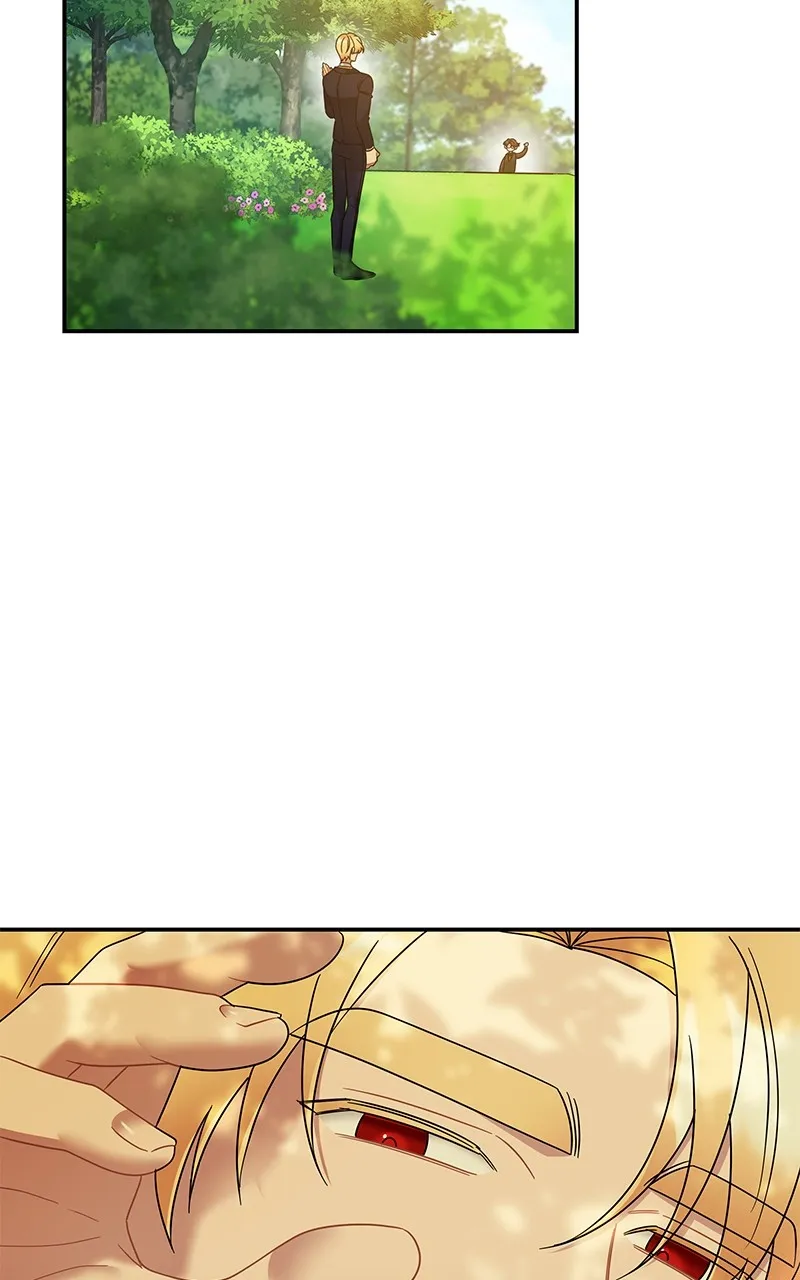 Do Not Hold on to the Broken Branch Chapter 37 page 19 - 