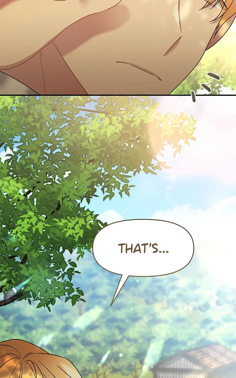 Do Not Hold on to the Broken Branch Chapter 37 page 20 - 