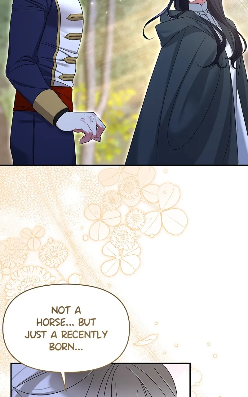 Do Not Hold on to the Broken Branch Chapter 39 page 48 - 