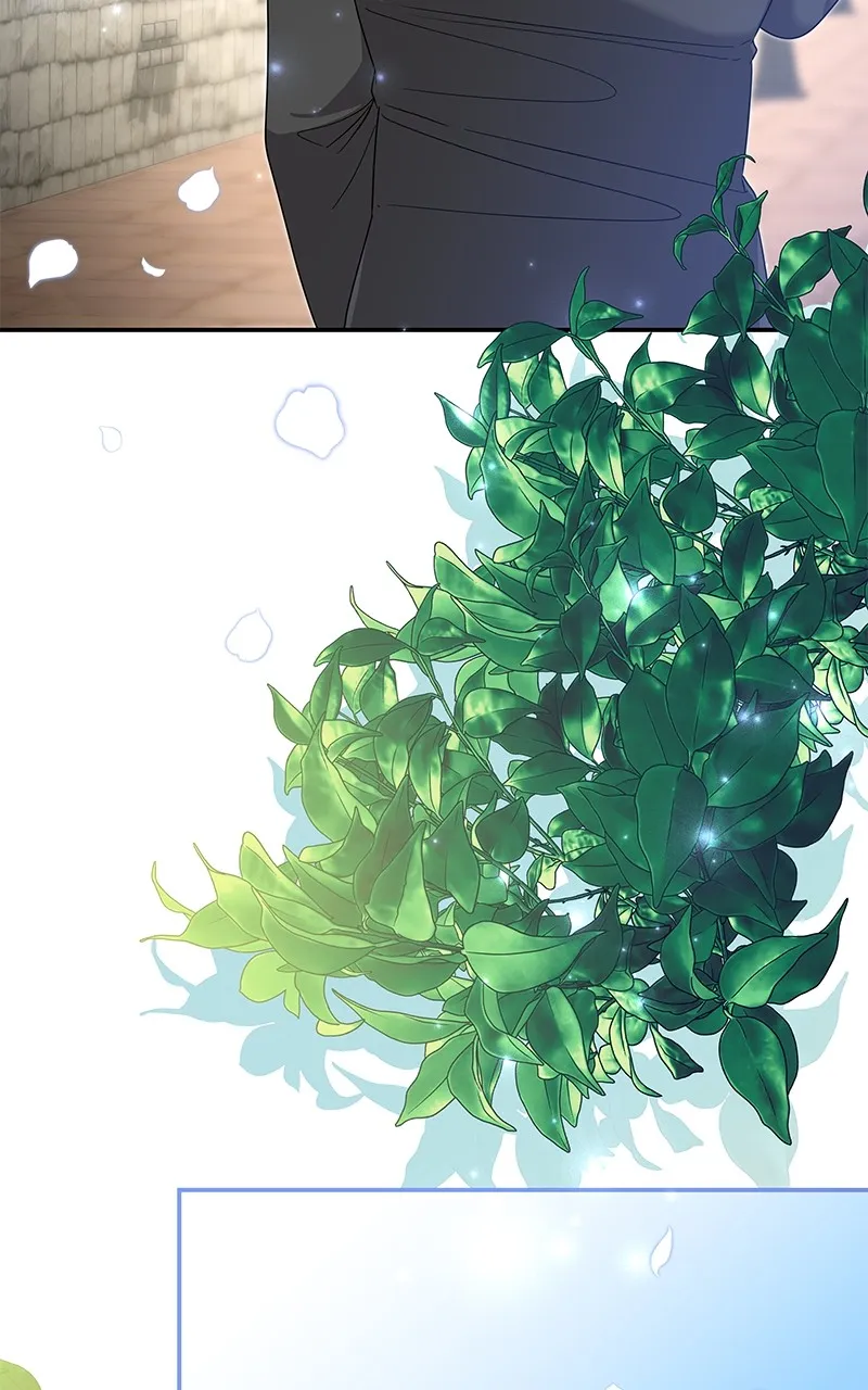 Do Not Hold on to the Broken Branch Chapter 40 page 15 - 