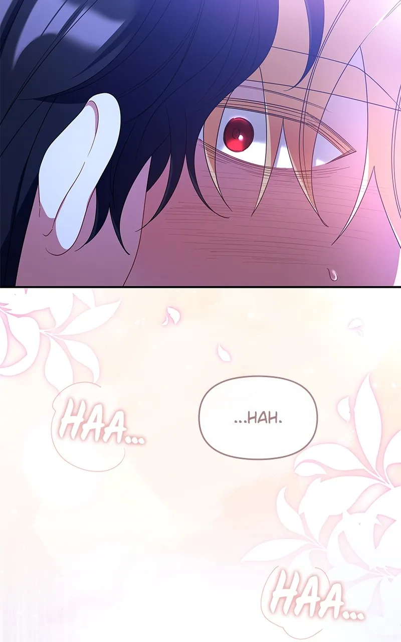 Do Not Hold on to the Broken Branch Chapter 41 page 37 - 