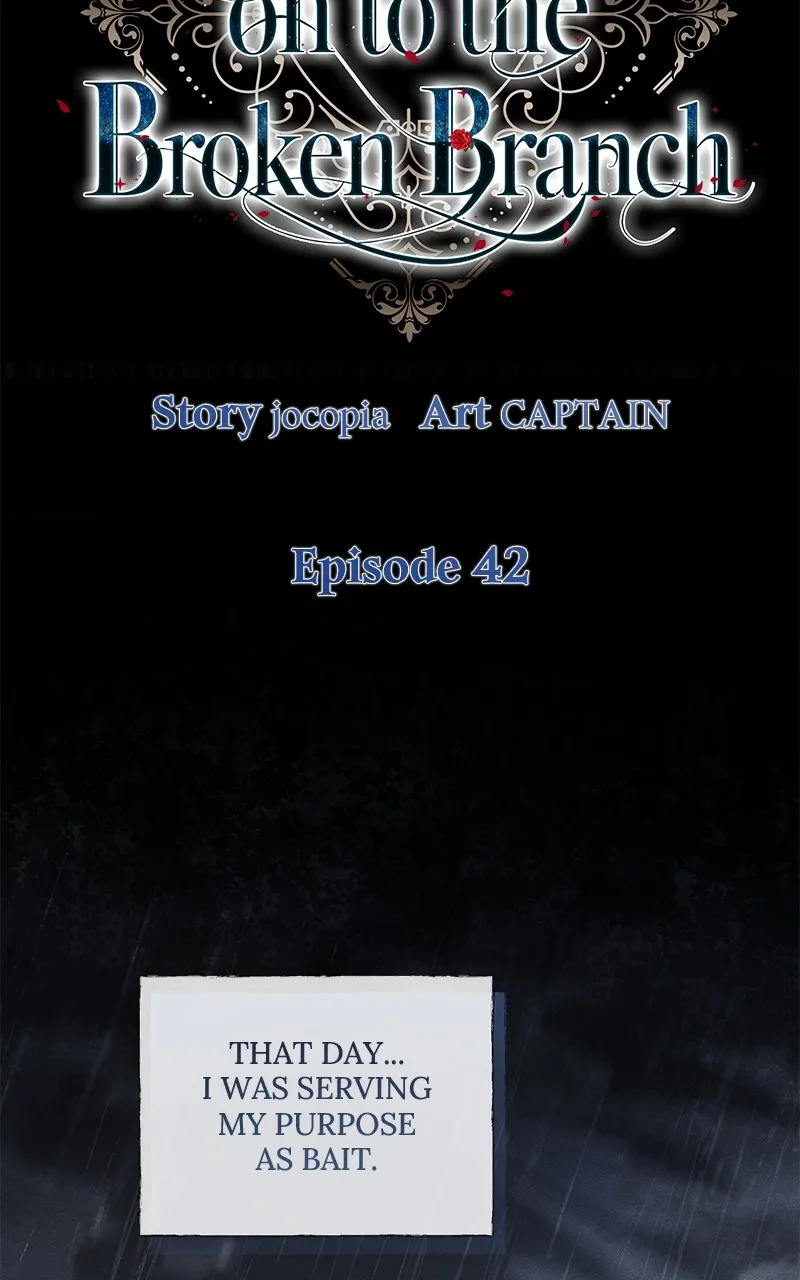 Do Not Hold on to the Broken Branch Chapter 42 page 29 - 