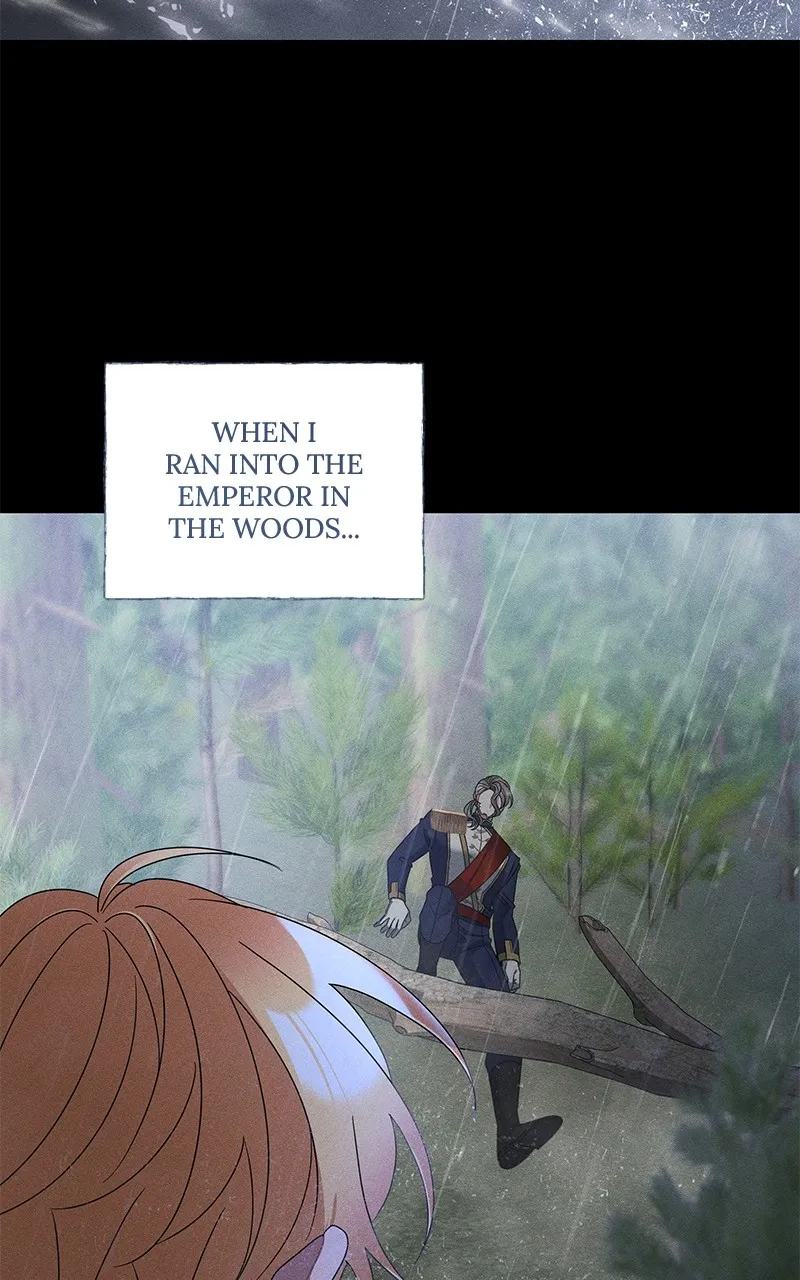 Do Not Hold on to the Broken Branch Chapter 42 page 31 - 