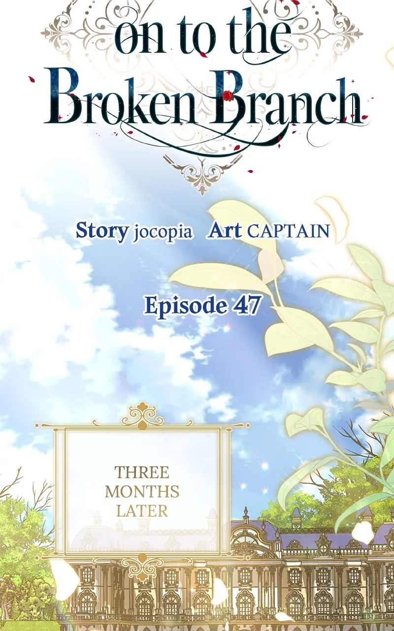 Do Not Hold on to the Broken Branch Chapter 47 page 25 - 