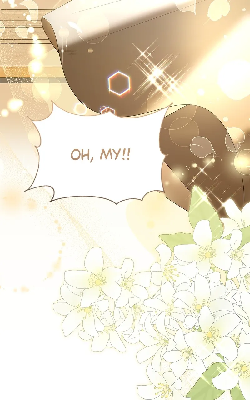 Do Not Hold on to the Broken Branch Chapter 49 page 48 - 