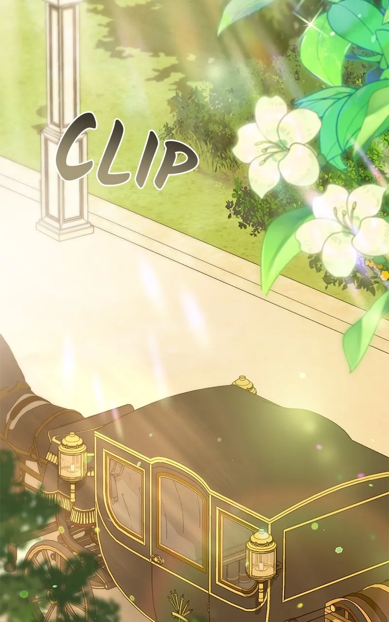 Do Not Hold on to the Broken Branch Chapter 49 page 62 - 