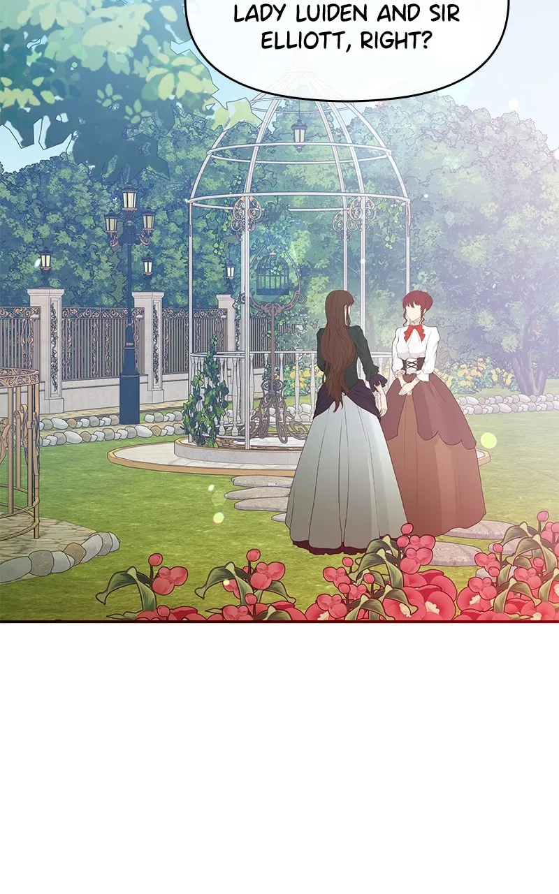 Do Not Hold on to the Broken Branch Chapter 5 page 65 - 