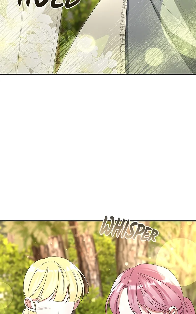 Do Not Hold on to the Broken Branch Chapter 60 page 75 - 