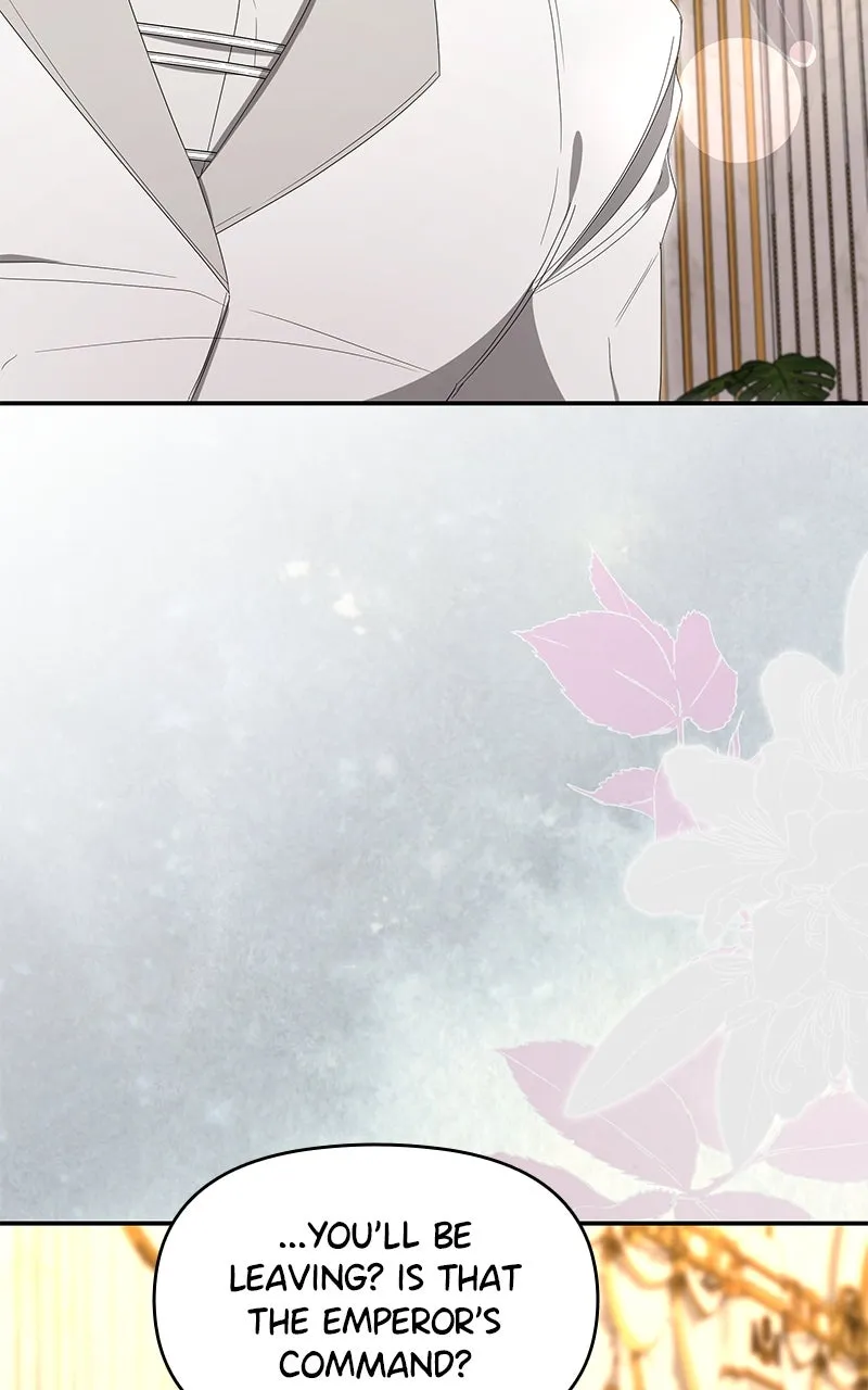 Do Not Hold on to the Broken Branch Chapter 61 page 25 - 