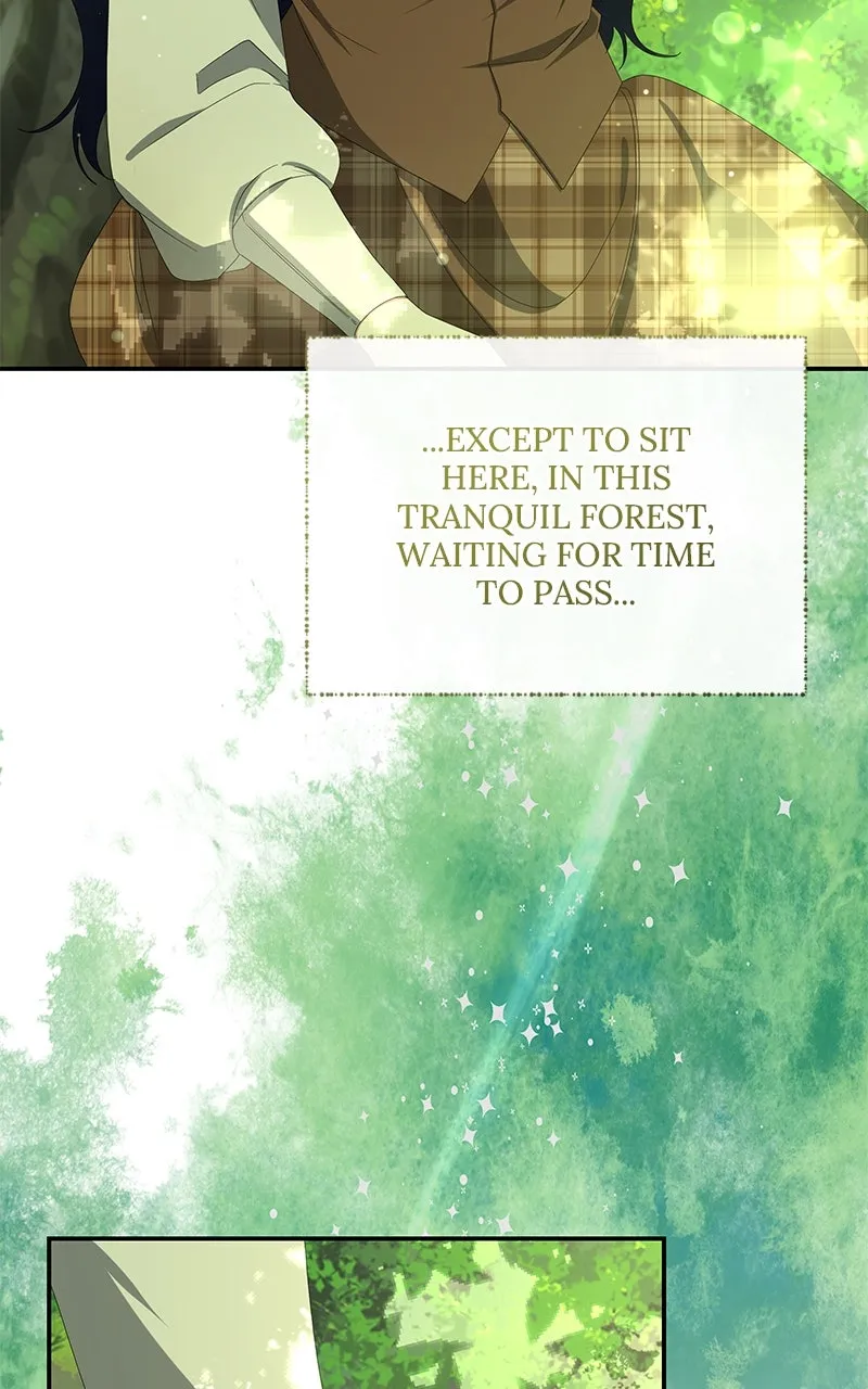 Do Not Hold on to the Broken Branch Chapter 62 page 21 - 