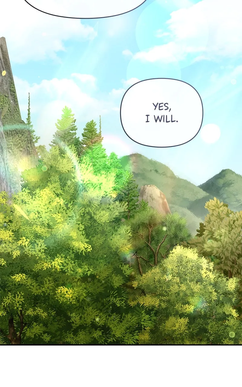 Do Not Hold on to the Broken Branch Chapter 62 page 5 - 