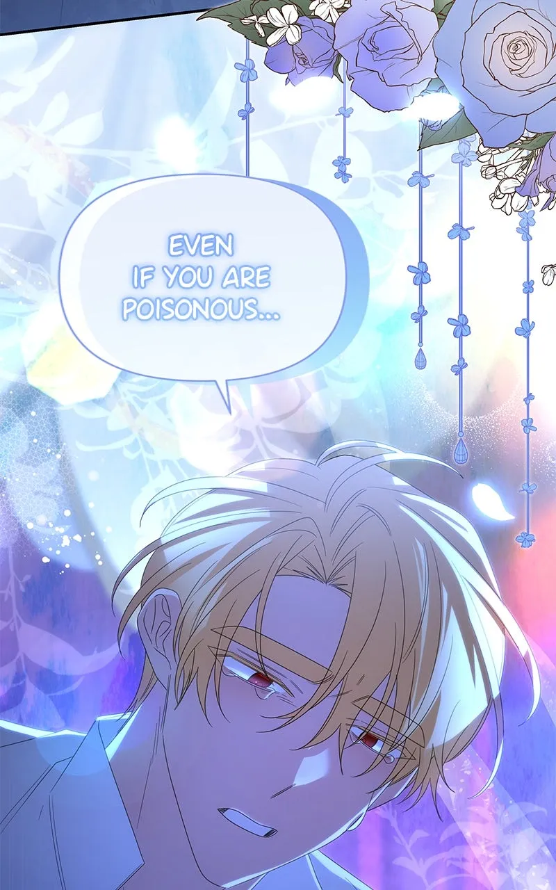 Do Not Hold on to the Broken Branch Chapter 65 page 38 - 