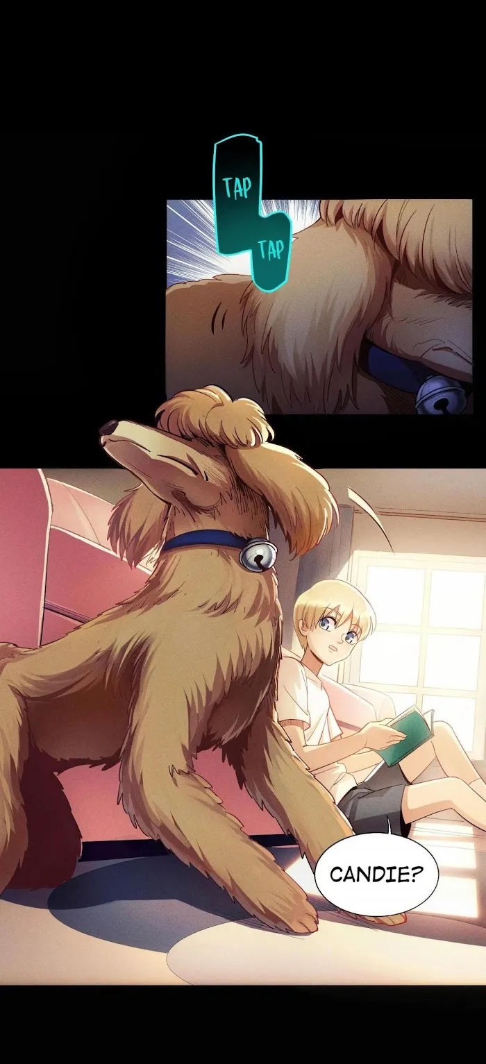 Read Do Not Perceive chapter 1.1 image 5 on Lezhin